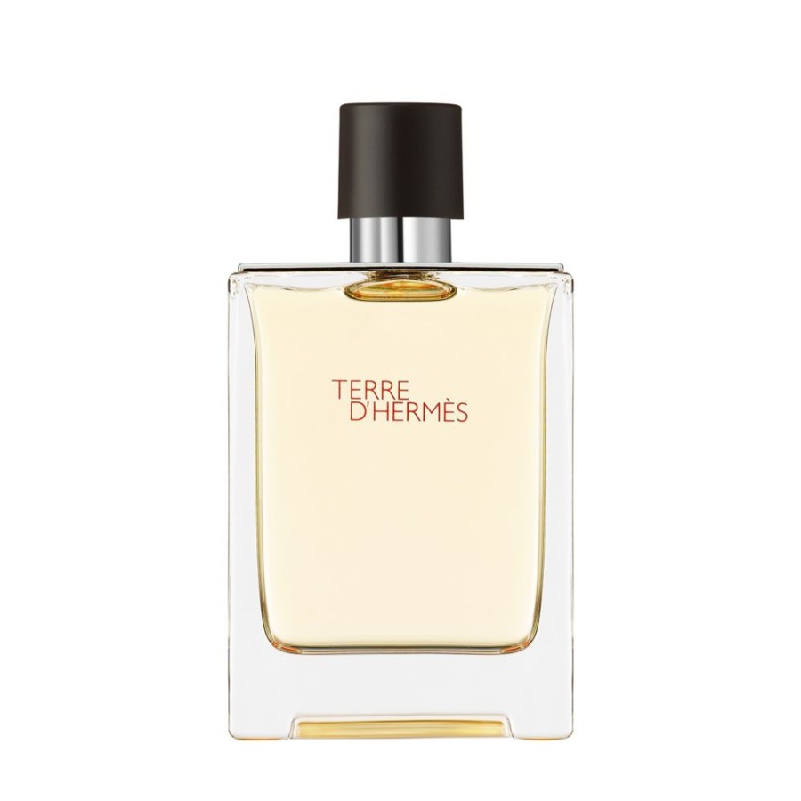 Herren Hermes | Terre D'Hermu00E8S - Eau De Toilette (100Ml)